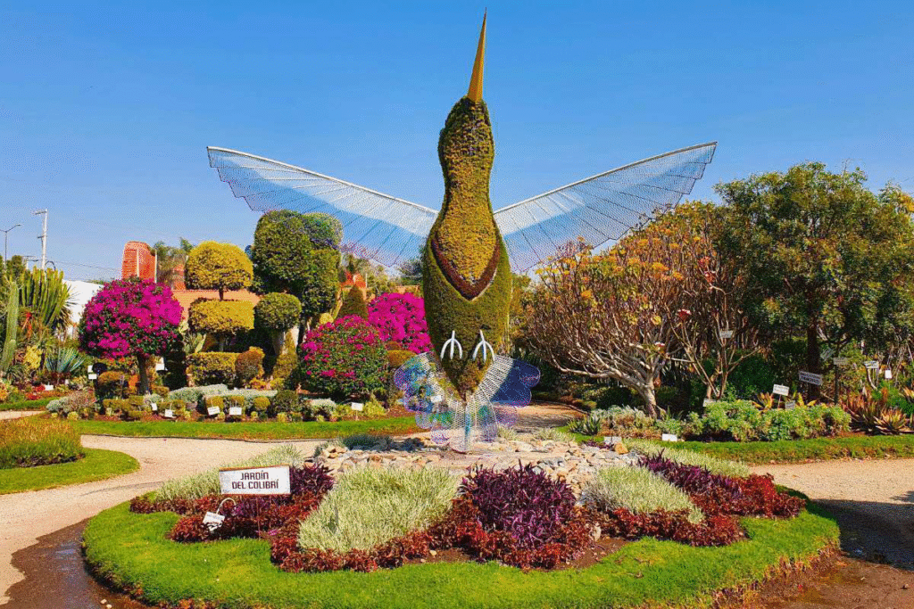 Jardin Magico